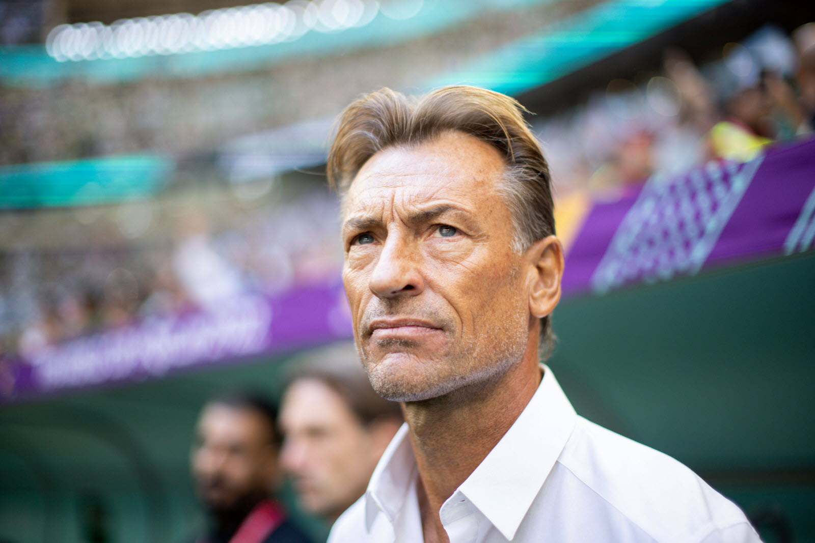 Coach Renard signs contract extension with Saudi Arabia national