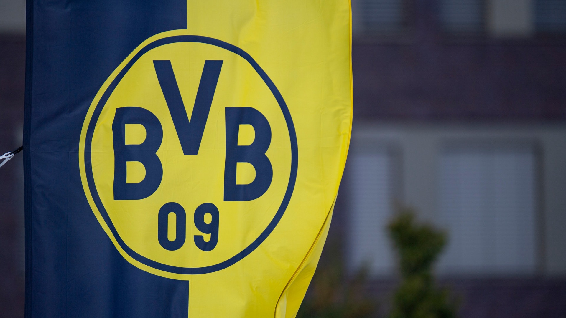 Dortmund sues German party for exploiting its logo