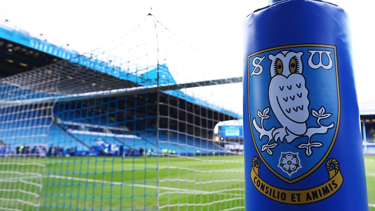 Sheffield Wednesday fans protest against the club's owner