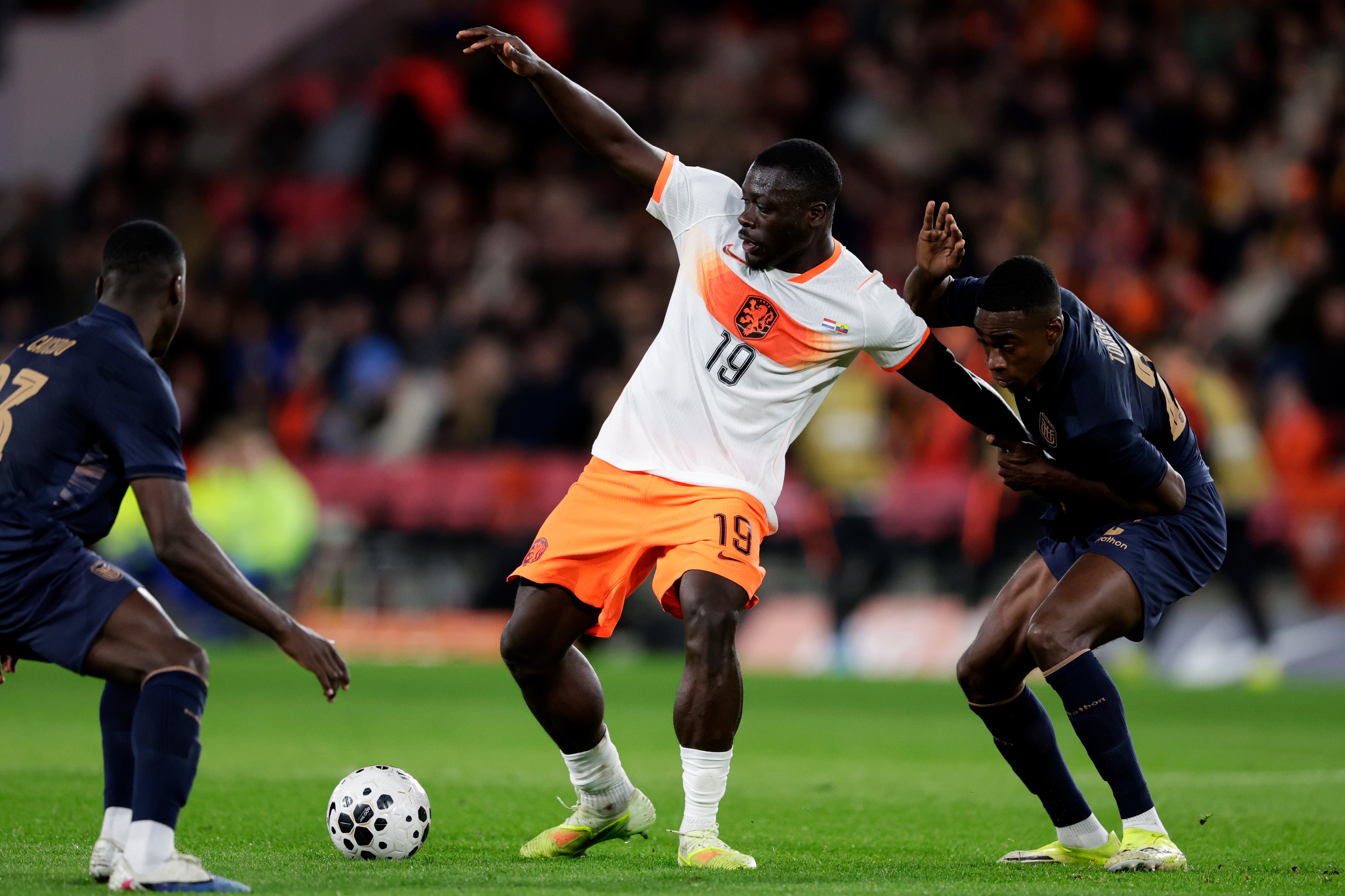 هولندا والإكوادور 