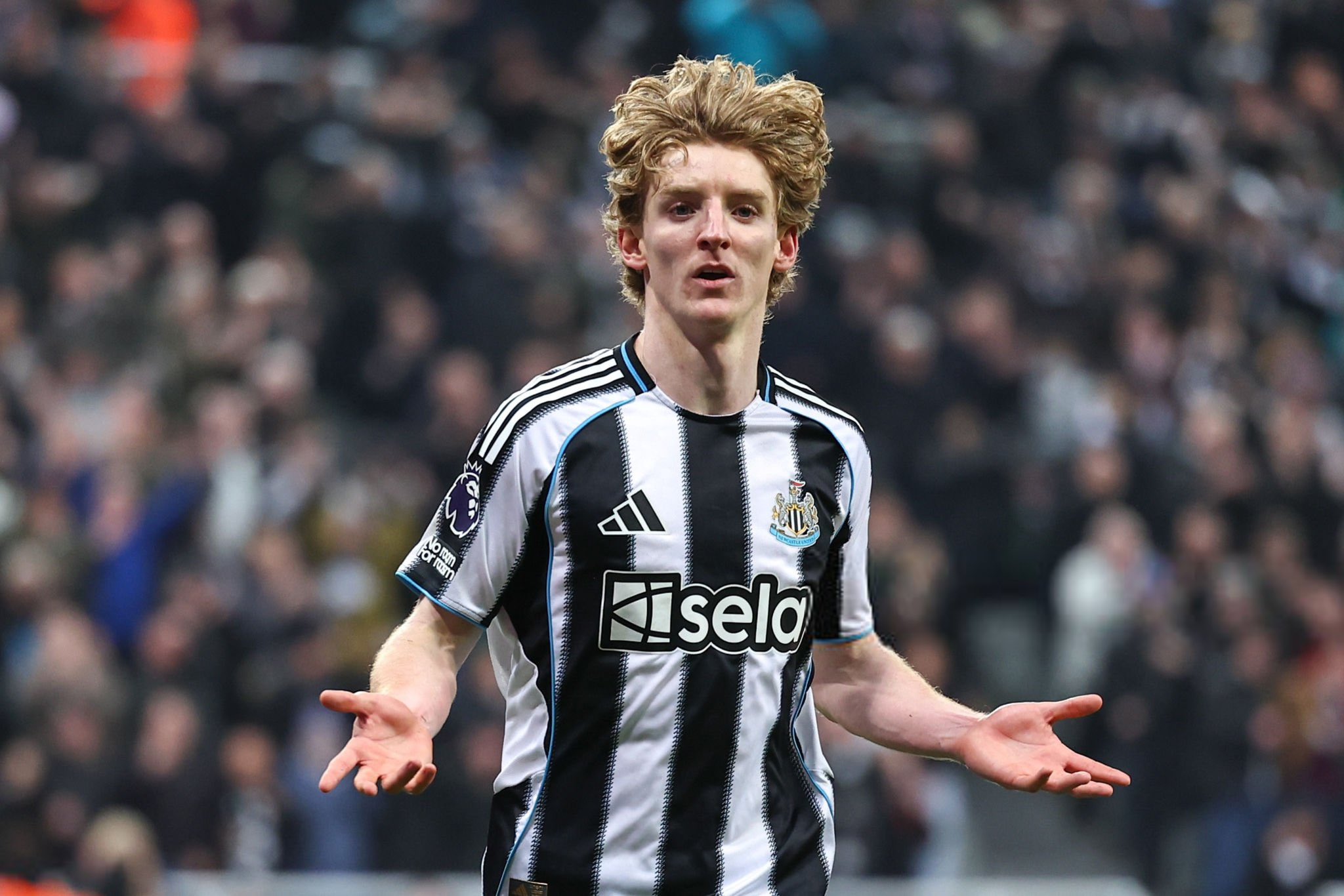 كومباني يوافق على ضم نجم نيوكاسل